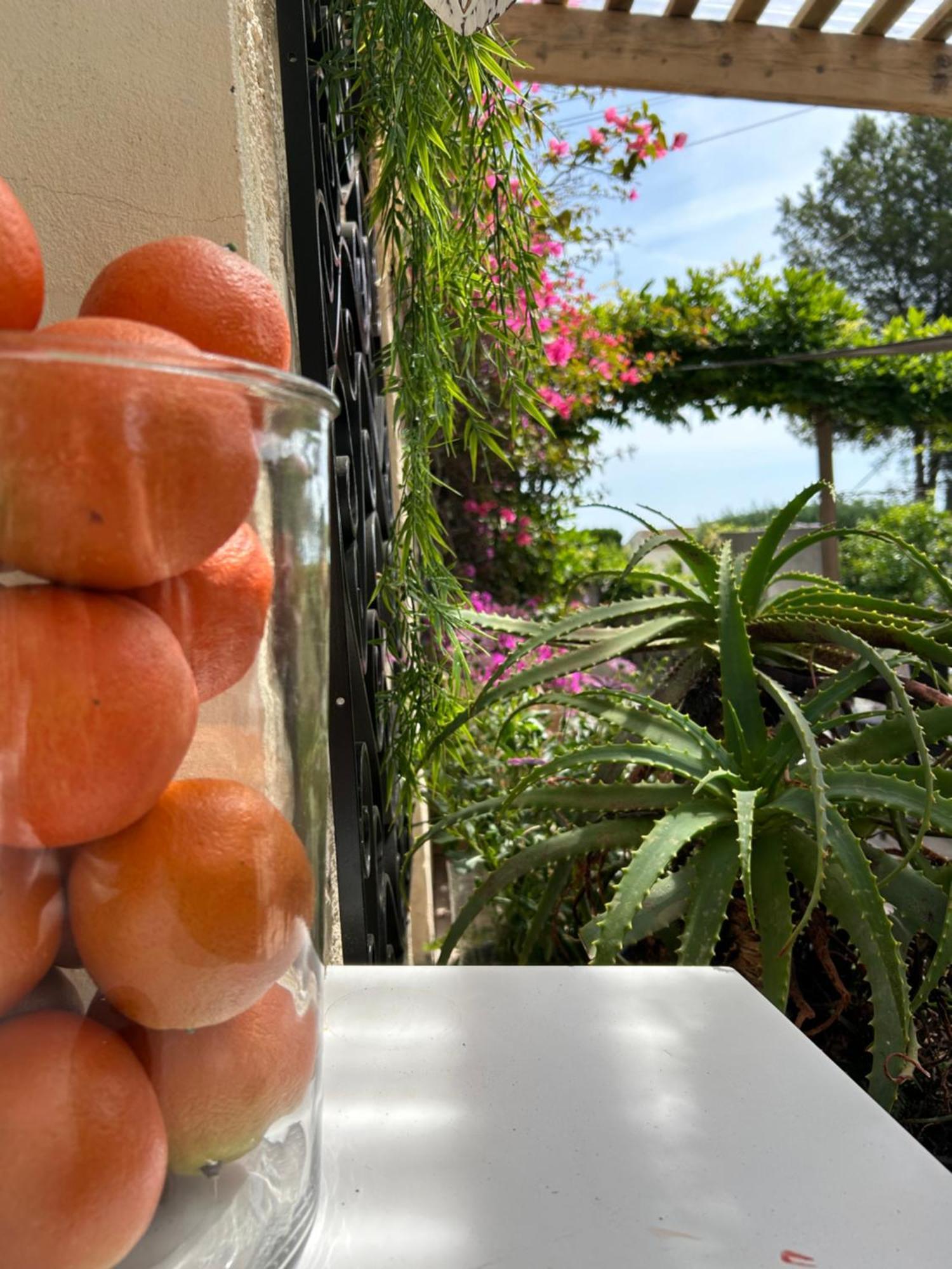 Hotel Auberge Provencale แซ็งต์-ราฟาเอล ภายนอก รูปภาพ